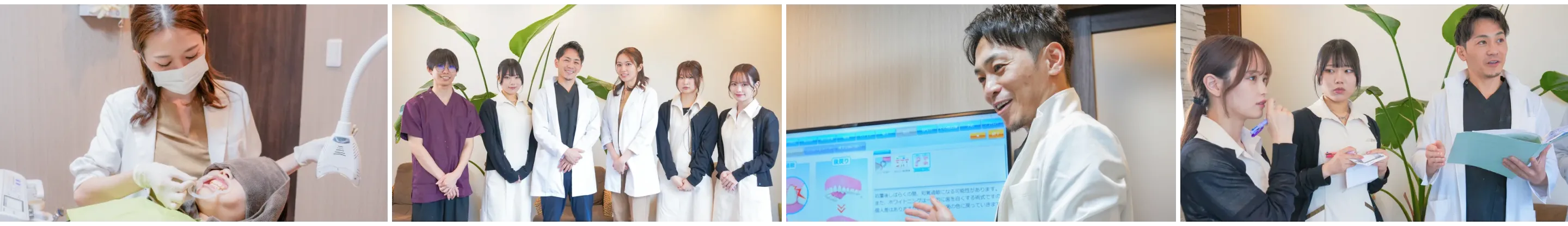 採用情報